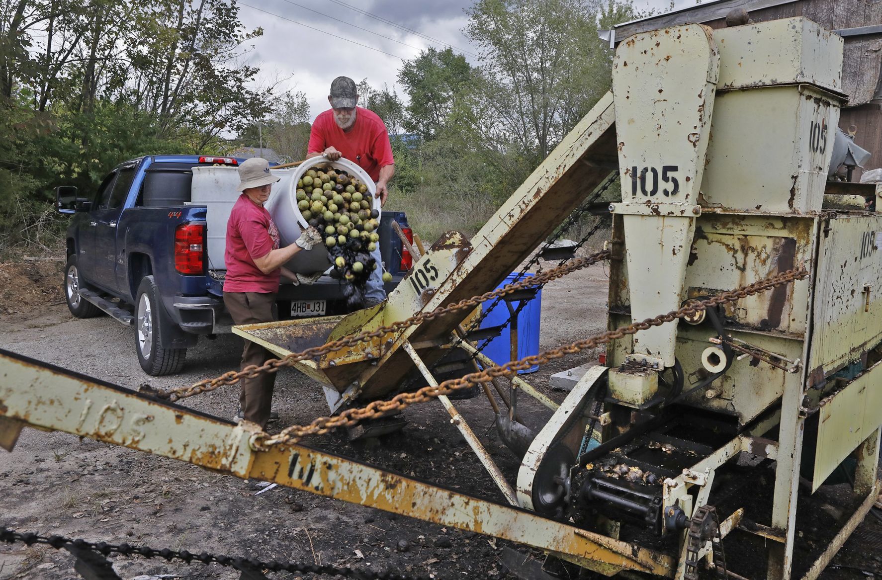 Missouriโs black walnut harvest
